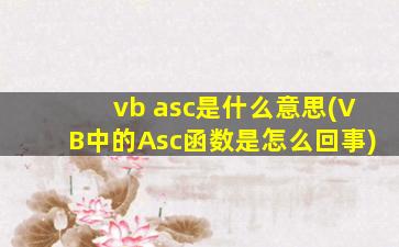 vb asc是什么意思(VB中的Asc函数是怎么回事)